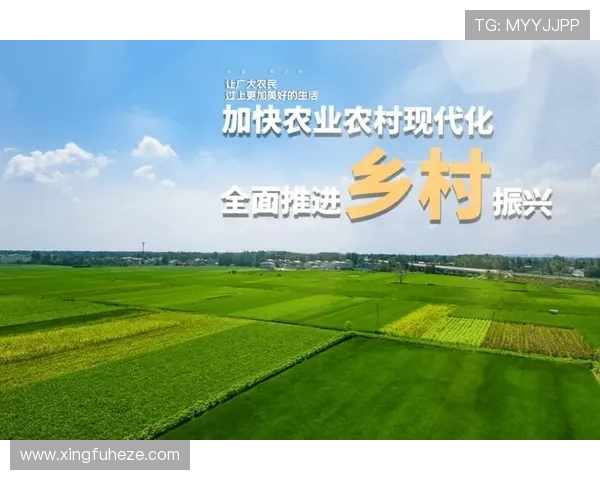 九台农商银行深化金融服务提升区域经济发展助力乡村振兴战略实施