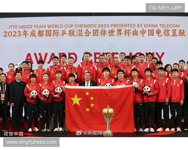 成都乒乓球队灵活性引发热议专家观点各异引人深思