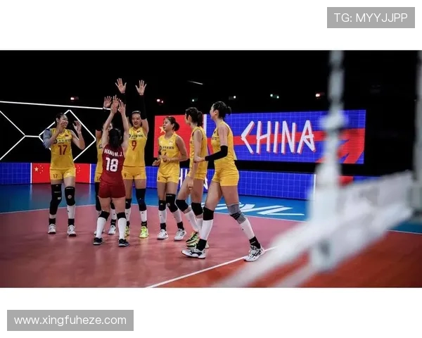 权威发布：全球排球运动员灵活性实力排名揭晓引发热议