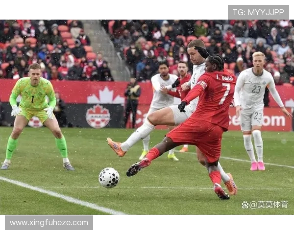 塞内加尔与韩国激战正酣比分揭晓引发热议